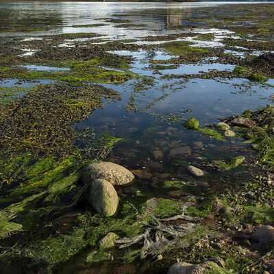 eilean003