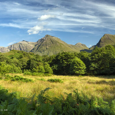 GLENCOE290