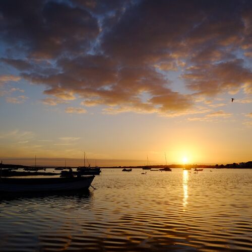 Christchurch Harbour sunset