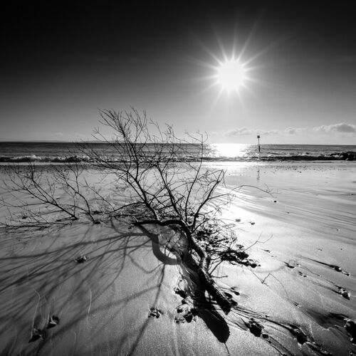 Winters day at Mudeford