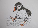 Puffin Dance