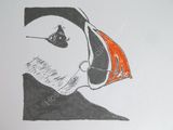 Puffin Portrait