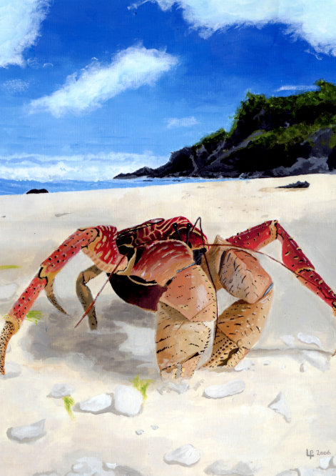 ROBBER CRAB