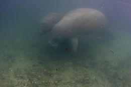 Ghosts In The Silt Out