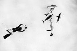 Lights, Camera, Action