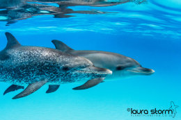 Atlantica