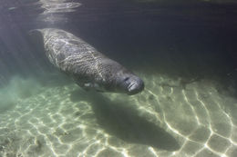 After The Dust Settles