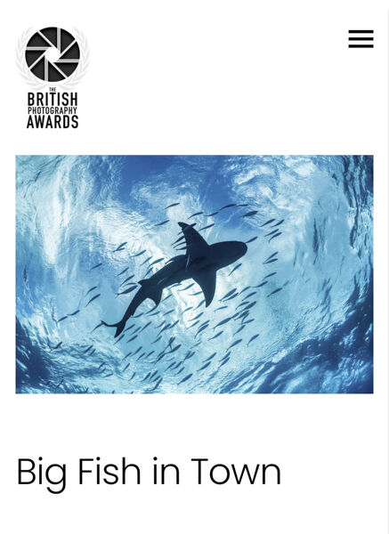 Big Fish in Town - Shortlisted Finalist, British Photography Awards 2026