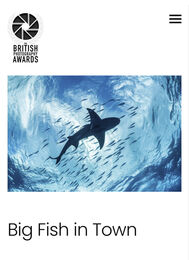 Big Fish in Town - Shortlisted Finalist, British Photography Awards 2026