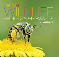 BWPA - Collection 6