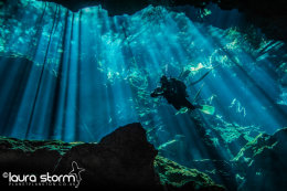 Welcome to the Jungle