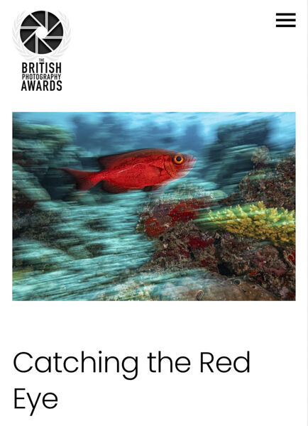 Catching the Red Eye - Shortlisted Finalist, British Photography Awards 2026