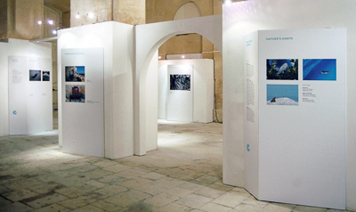 Out of the Blue exhibition, image courtesy of Victoria Forrest.