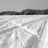 The Infinity of Canada