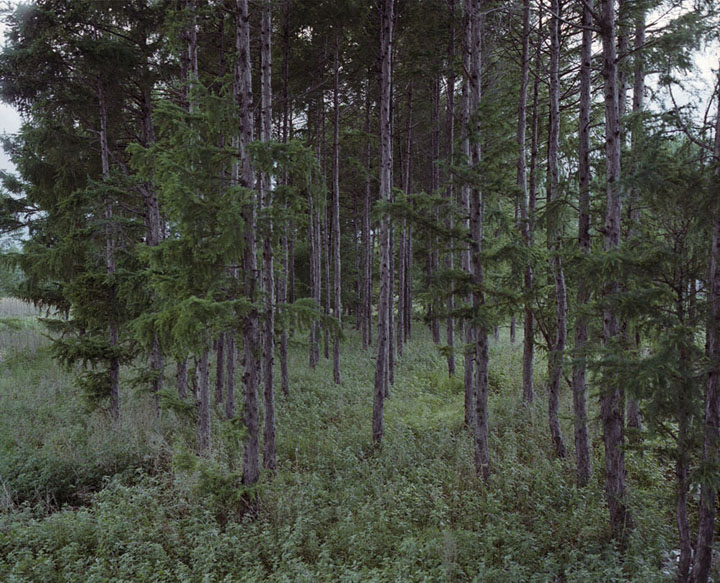 Jiansanjiang, 2014