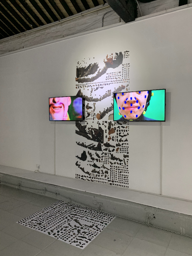 I am invincible...on the screen / False motion tracking, 2019-2020