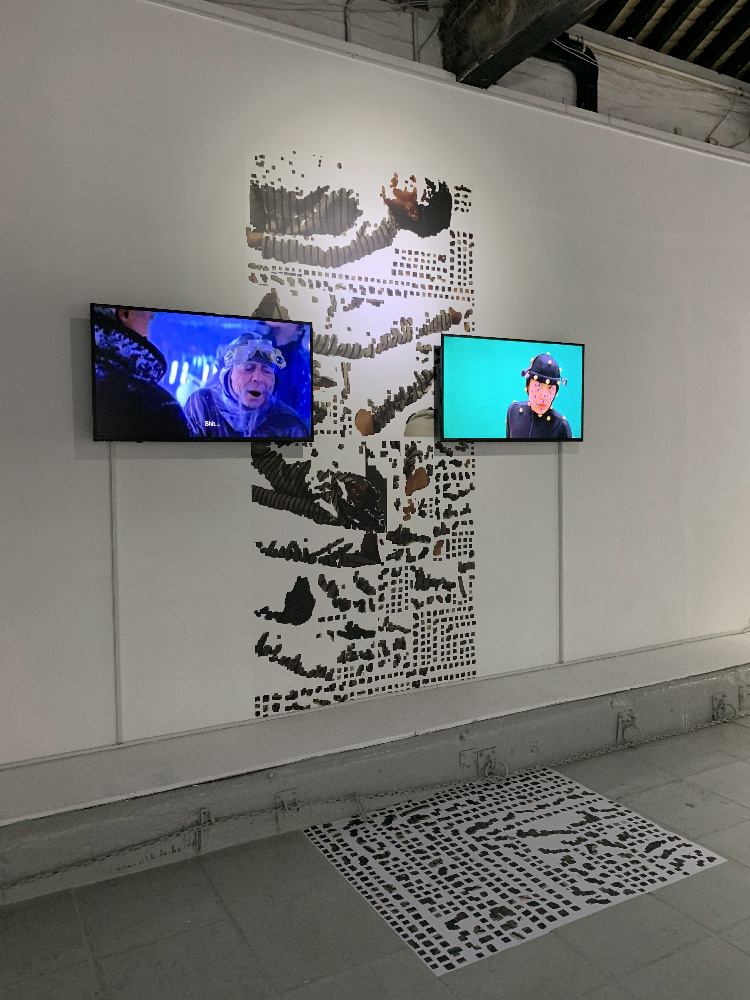 I am invincible...on the screen / False motion tracking, 2019-2020