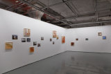 2017 "Follow_Me"- New Narratives in Contemporary Photography, China-Switzerland, OCAT Shanghai, China