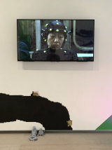 2021 The Miriam and Ira D. Wallach Art Gallery, Lenfest Center for the Arts, Columbia University, New York