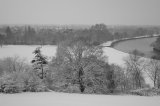 Colours of winter