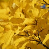 Colours of Stockholm