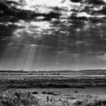 Sunburst over fields