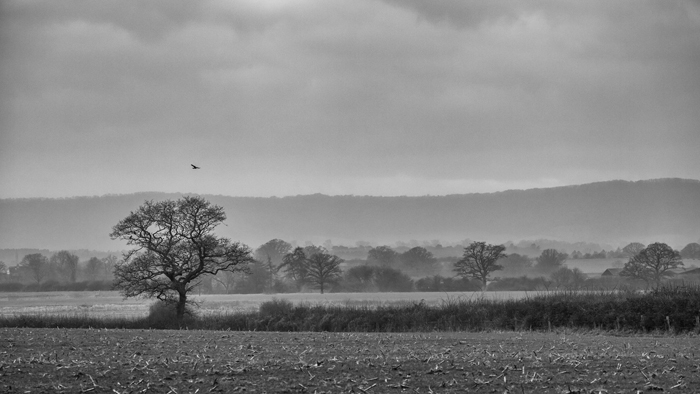 Winter views