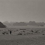 Wadi Rum shepherds
