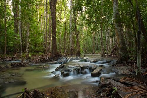 Khao Nor Chuchi Wildlife Sanctuary