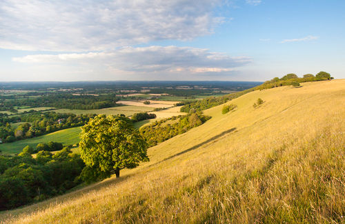 South Downs