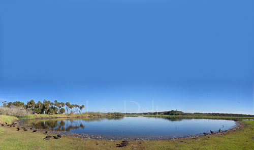 'Deep hole' sink hole