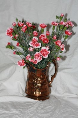 A VASE OF CARNATIONS