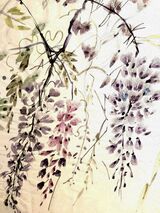 Chinese brush Painting - Wisteria