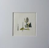 lone Pike £80 unframed / framed £130