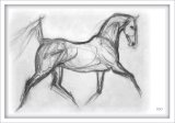 charcoal of Becket