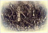 Gwydion conjured Horses and Dogs