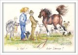 Is That Welsh Dressage ?