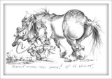 Perfect Masters horse Dearie - Up to Weight