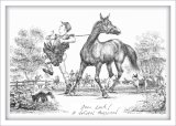 a Natural Horseman