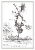 look Darling Dressage