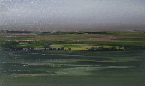 Evening fields