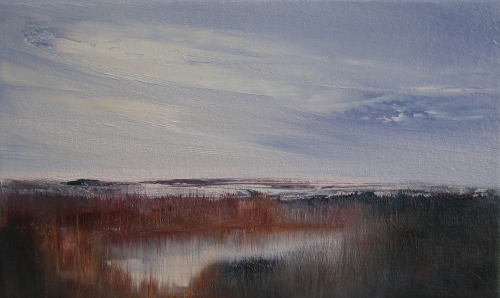 Marsh mirror