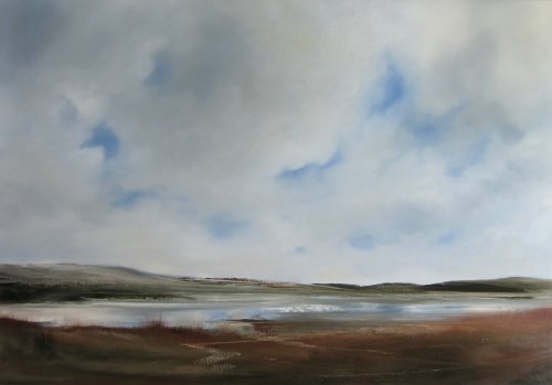 Marshland, clouds parting