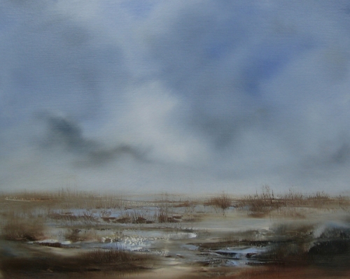 Marshland, blue and silver light