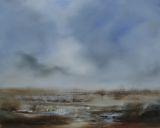 Marshland, blue and silver light