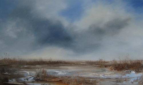 Marshland, passing cloud