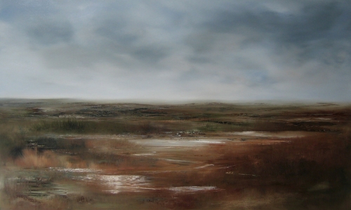 Marshland, shining water