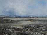 Moorland under water