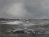 Mudflats and rain clouds