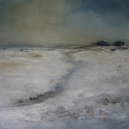 Snow Fields